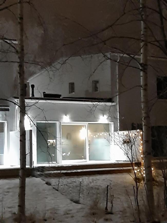 روفانييمي Arctic Luxury Home المظهر الخارجي الصورة
